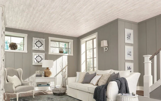 Elevate Your Space with Kanopi